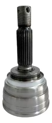 PUNTA TRIPOIDE