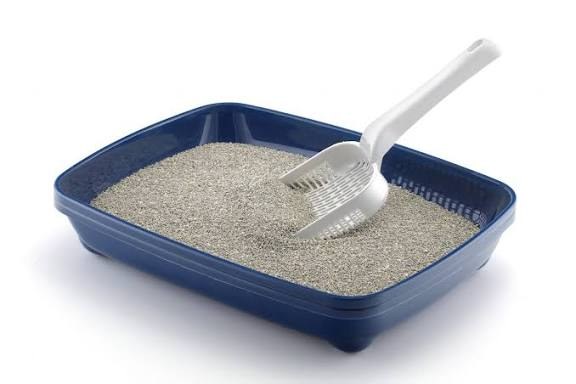 Base sanitaria para gato